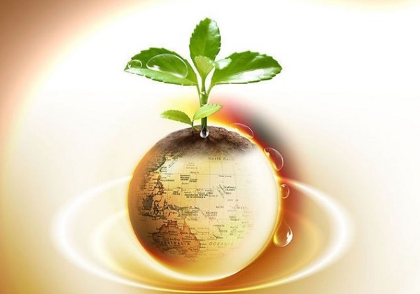 周大福年内第三次上调黄金产品价格 金价持续上涨背景下的策略调整